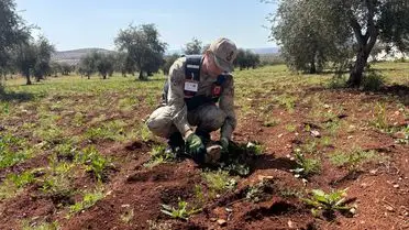 Kilis'te Yaralı Kızıl Şahin Doğa Koruma Müdüriyeti'ne Teslim Edildi