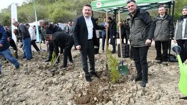 Dikilen fidanlar