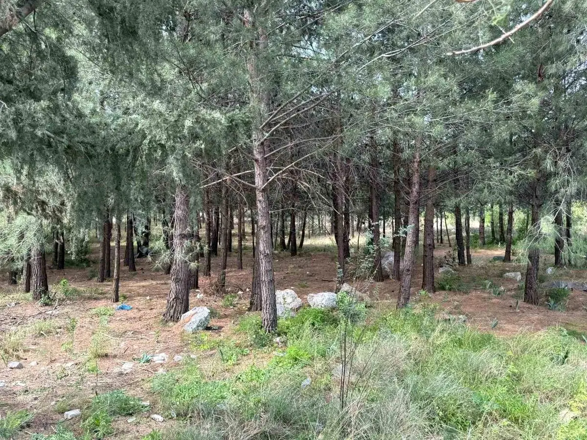 Hatay’da Şok Anne-Oğul Cinayeti: İki Ceset Bulundu, Şüpheli Akrabalar Gözaltında