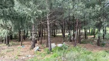 Hatay’da Şok Anne-Oğul Cinayeti: İki Ceset Bulundu, Şüpheli Akrabalar Gözaltında