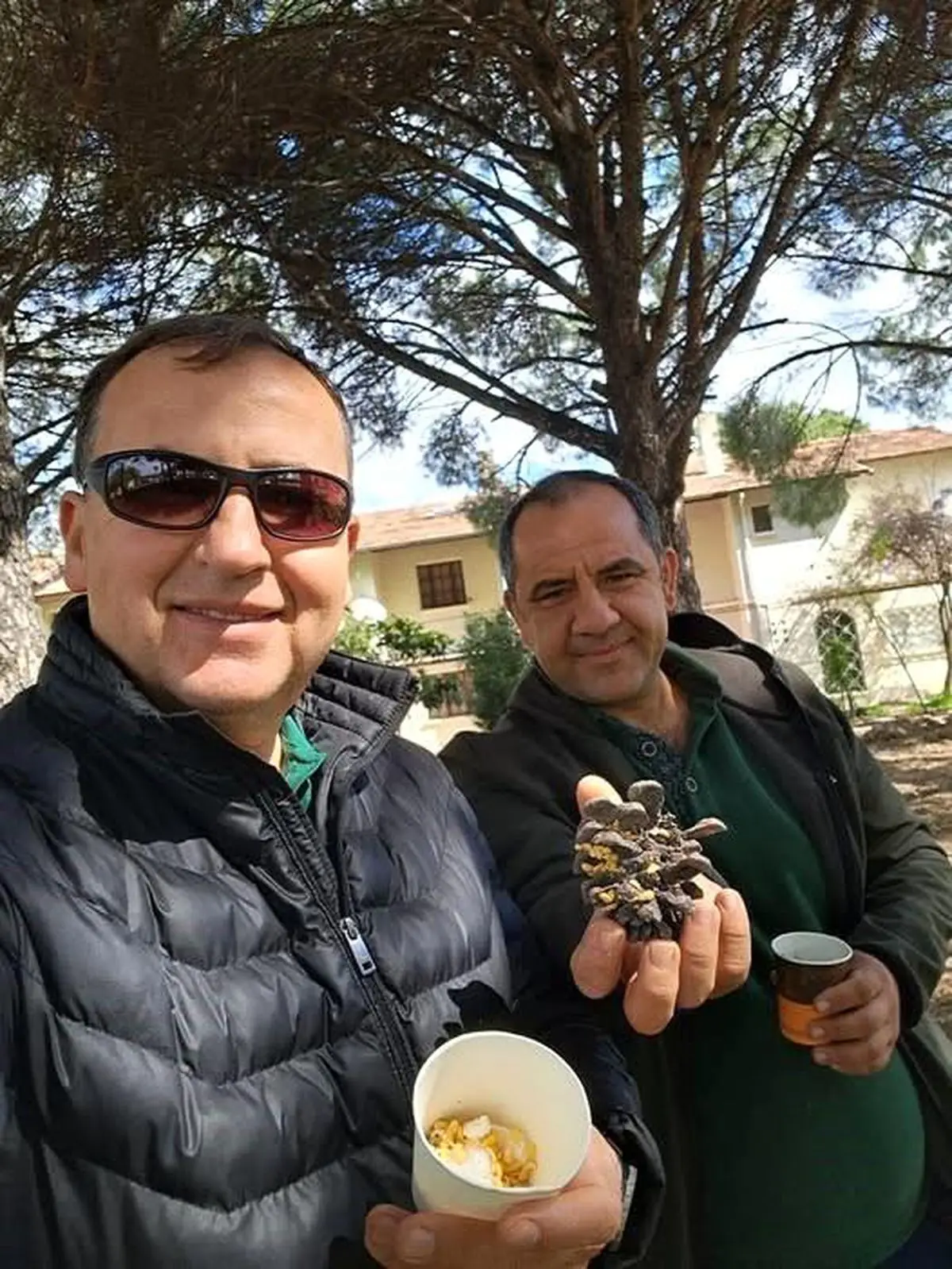 Kuraklık, Kazdağları’nın Çam Balı Üretimini Zor Duruma Sokuyor