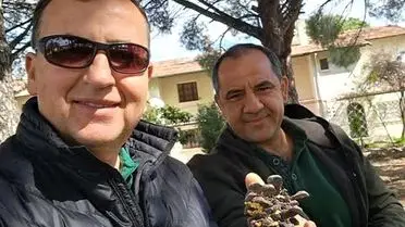 Kuraklık, Kazdağları’nın Çam Balı Üretimini Zor Duruma Sokuyor