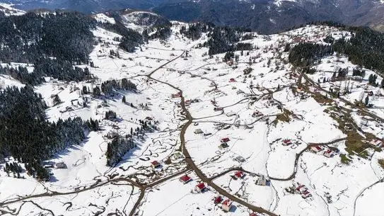 Kadıralak Yaylası'nda Karla Örtülü Mavi Yıldız Çiçekleri Açmadı