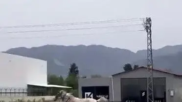 Hatay’da Trafiği Sarsan Kaçak At Arabası Olayı