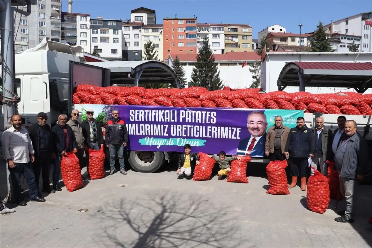 Ordu’da 45 Ton Tohumluk Patates Üreticilere Dağıtıldı