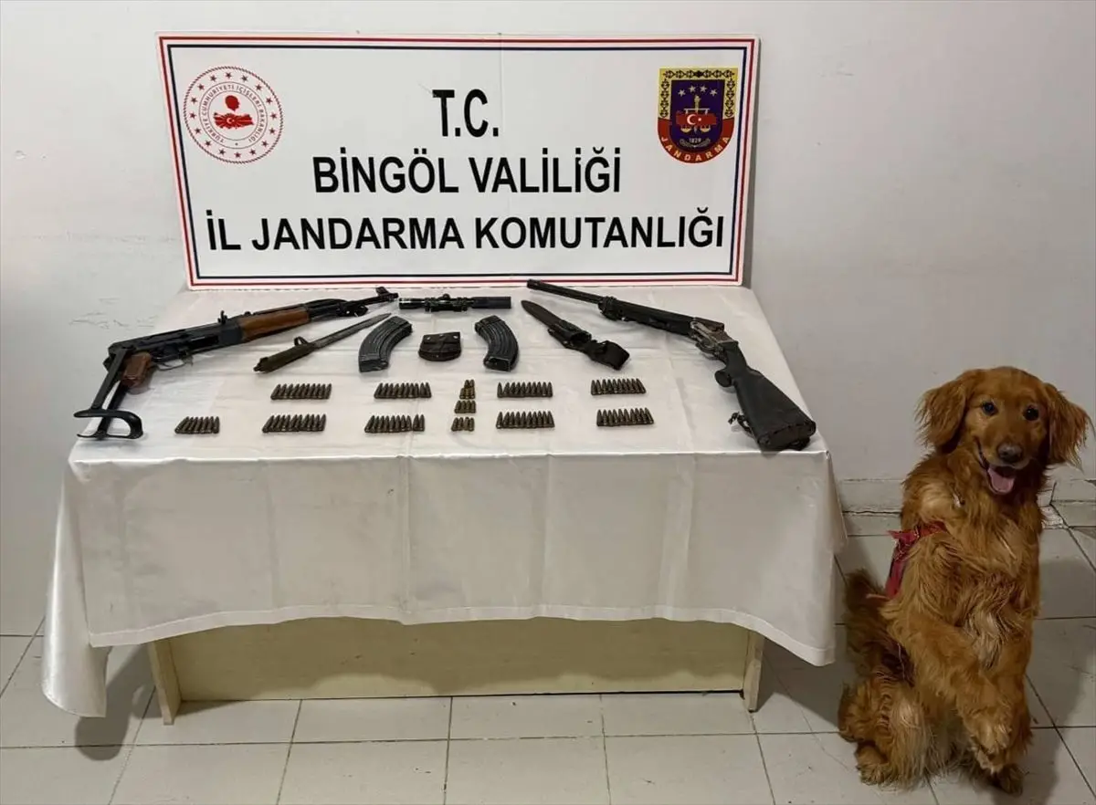 Bingöl'ün Karlıova İlçesinde Yasa Dışı Silah ve Mühimmat Ele Geçirildi