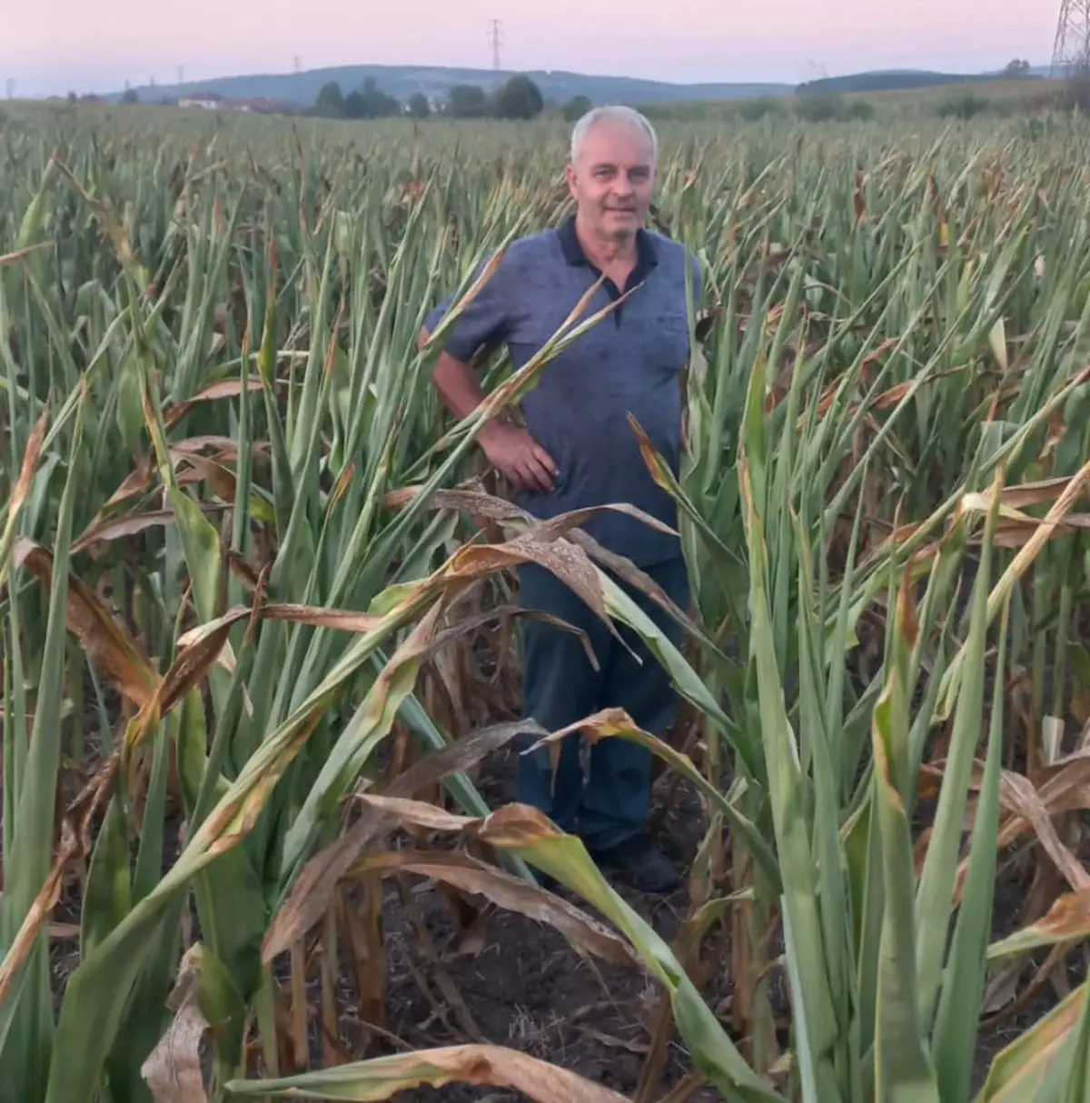 Adapazarı'nda Traktör Kazası: 3 Çocuk Babası Rasim Başar Hayatını Kaybetti