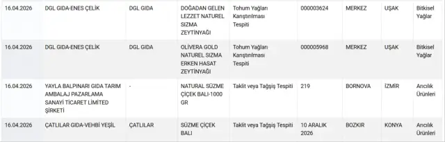 Denetim raporundan bir sayfa