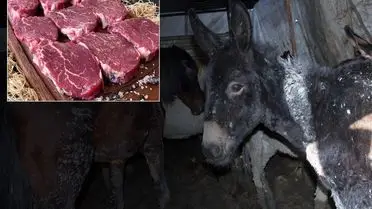 Tarım Bakanlığı, İzmir’de Pide Harcına At ve Eşek Eti Karıştığını Açığa Çıkardı