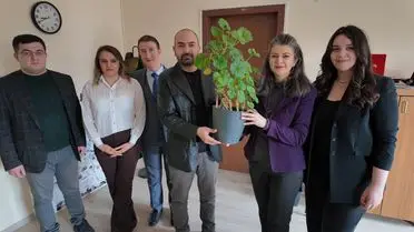 Saksı Bitkileriyle Evde Elektrik Üretimi: BAİBÜ'nün Biyopil Projesi