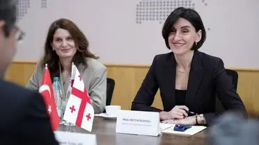 Türkiye ve Gürcistan Arasındaki Stratejik Diyalog Güçleniyor