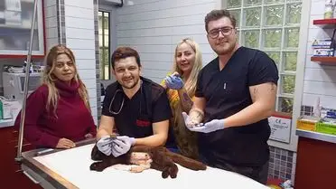 Nazilli’de Çift Başlı Yavru İçin Sezaryen Operasyonu ve Sağlıklı Yavru Kedilerin Doğumu