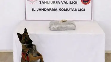 Şanlıurfa Birecik’te 1,2 Ton Esrar Ele Geçirildi, Şüpheli Gözaltına Alındı