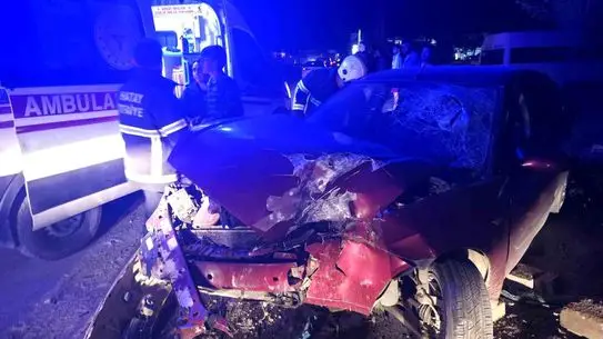 Hatay’da Kontrol Kaybı Sonucu Araç Ağaca Çarptı, 3 Yaralı