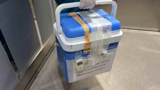 96 Yaşındaki Kadının Karaciğeri Bağışlandı: Rize’de Umut Veren Hikâye