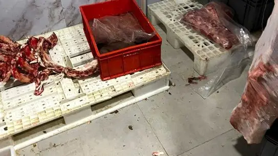 Sakarya’da Hijyen İhlali Yapan İşletmeye 300 Bin Liradan Fazla Ceza Kesildi