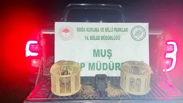 Muş'ta Kaçak Keklik Avı Suçüstü Yakalandı, 65 Bin TL Para Cezası Kesildi