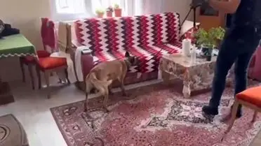 Kayseri'de Silah ve Uyuşturucu Kaçakçılığına Büyük Operasyon