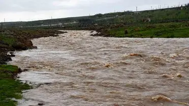 Şanlıurfa’da Şiddetli Yağışta Çoban ve Koyunlar Kurtarıldı