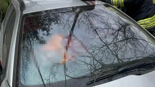 Çorlu’da Şarampole Uçan Araç Kazasını Detayları