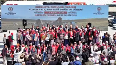 Denizli Büyükşehir Belediyesi'nden Bereketli Sürüler Projesi ile Karya Koyunlarına Destek