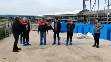 Kırklareli Tarım Müdürü Babaeski’de Büyükbaş Hayvan Çiftliklerini İnceledi