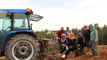 Kaymakam Kuran, Kekik Tarlasında Çiftçilerle El Ele: Yerel Tarımda Yeni Bir Adım