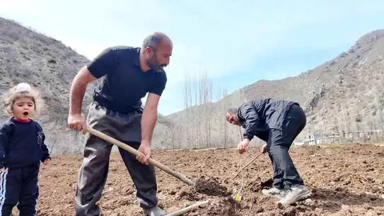 Şırnak’ta Çiftçi, Devlet Hibesiyle 25 Dönüm Arazisini Meyve Bahçesine Dönüştürdü