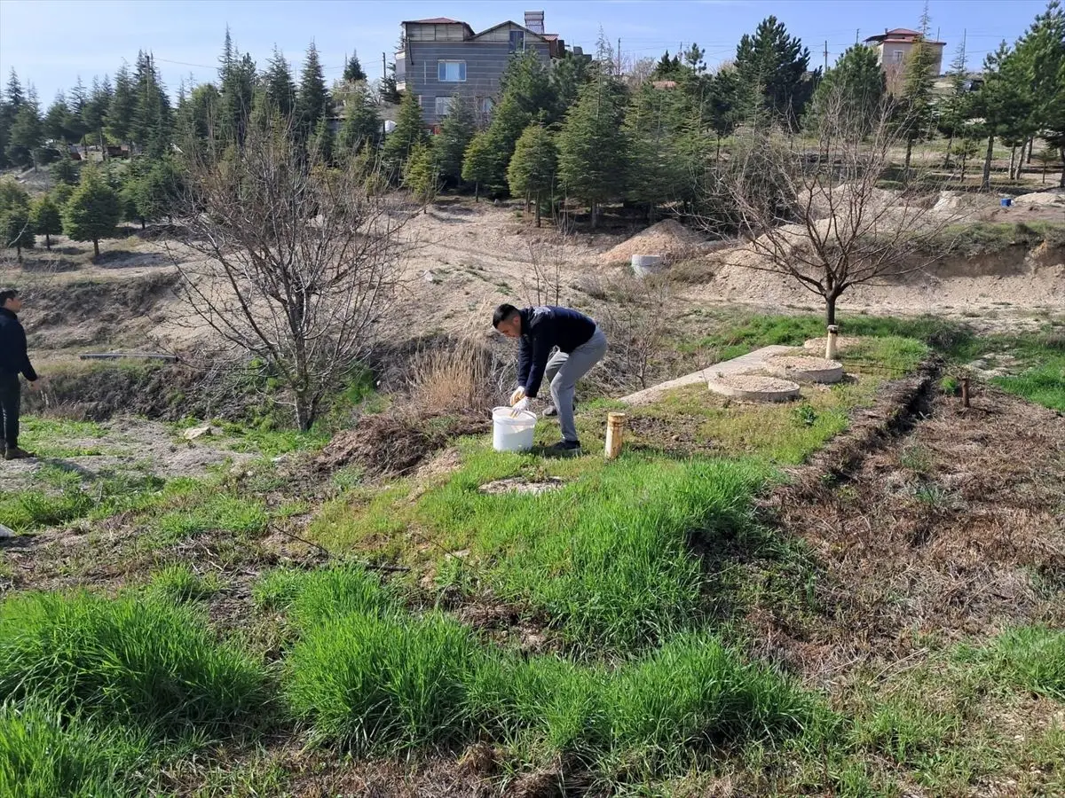 Ağın’da Sinek ve Sivrisinek İlaçlama Çalışmaları Hız Kazandı