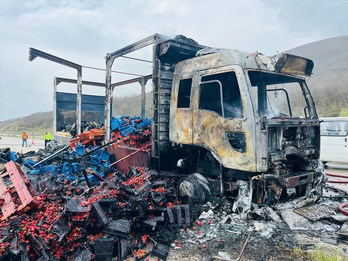 Tokat’ta Çilek Yüklü Kamyonda Çıkan Motor Yangını Hızla Kontrol Altına Alındı