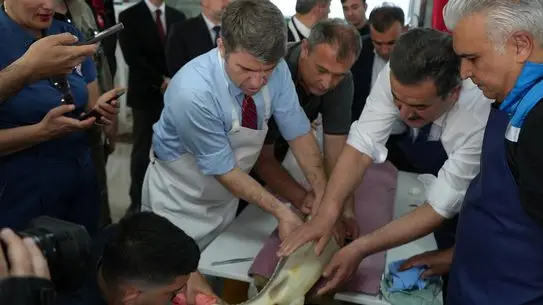 Tesisteki mersin ve sazan balıkları