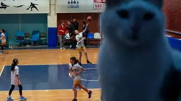 Ankara’da Nezaket Haftası Başladı: Şiddete Karşı Toplum Bilinci Artıyor