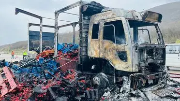 Tokat’ta Çilek Yüklü Kamyonda Çıkan Motor Yangını Hızla Kontrol Altına Alındı