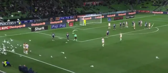 Martıların sahadaki kaosu