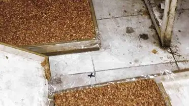 Hatay’da Kaçak Lokum ve Cezerye Üretimi Ortaya Çıktı: Hijyen İhlali ve Yaptırımlar