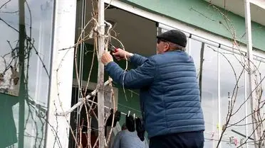 Yozgat'ta Yağışlı Sezon Üzüm Üreticilerine Umut Verdi