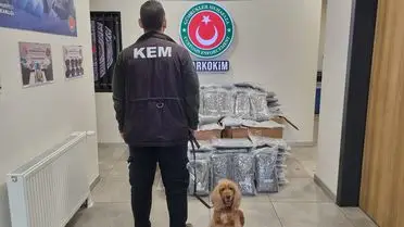 Edirne ve İstanbul'da Gümrük Operasyonu: 420 kg Uyuşturucu Ele Geçirildi