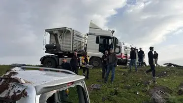 Şanlıurfa Siverek'te Tır ve Hafif Ticari Araç Çarpıştı: 2 Ölü, 1 Yaralı