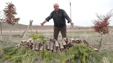 Derinkuyu’nun Yeşil Kahramanı: 71 Yaşındaki Çiftçi 12 Bin Fidanıyle Çölü Canlandırıyor