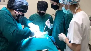 Ordu Üniversitesi'nden Özel Bireylere Yeni Diş Tedavi Hizmeti