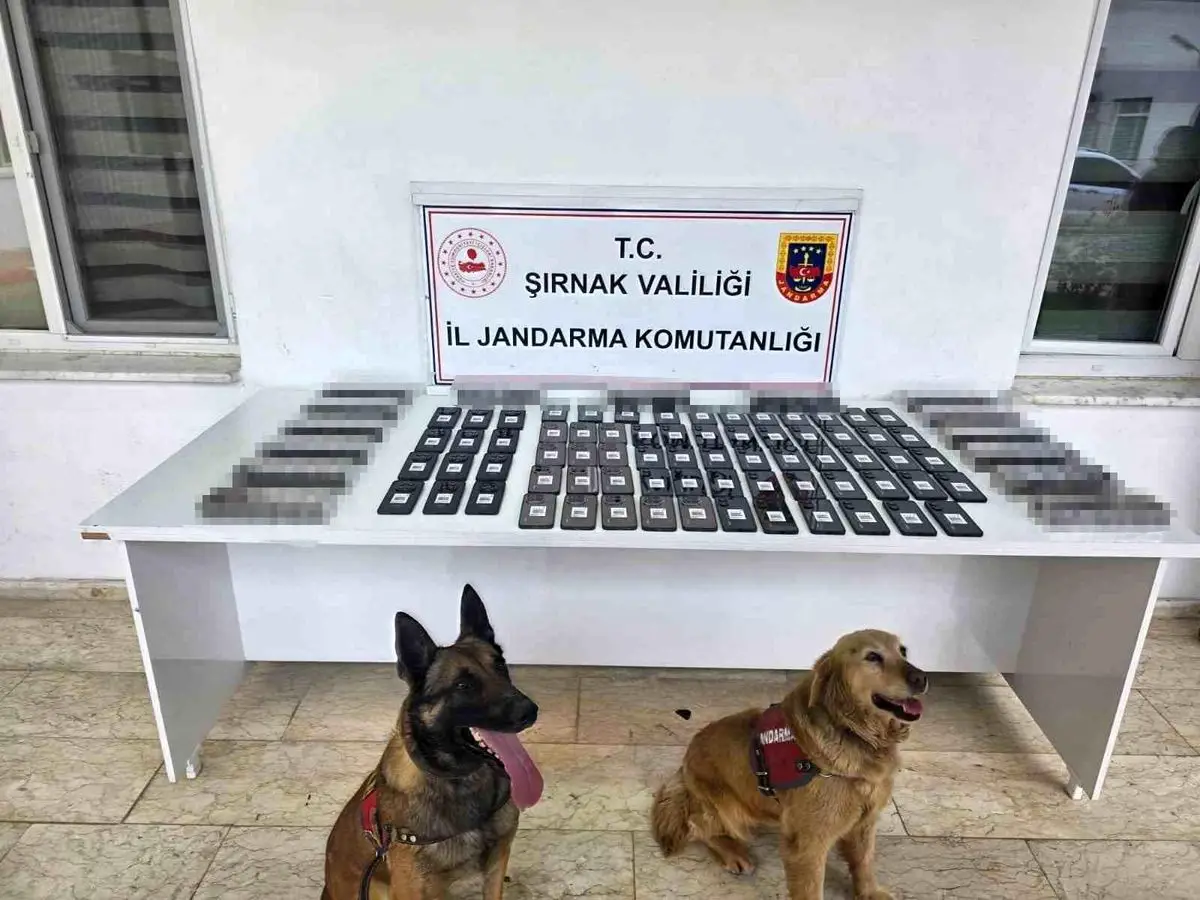 Şırnak'ta Jandarma Operasyonu: 12 Milyon Liraya Yakın Kaçak Ürün Ele Geçirildi