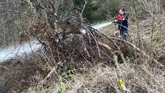 Kastamonu Cide'de Orman Yangını Hızlı Müdahale ile Söndürüldü
