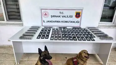 Şırnak'ta Jandarma Operasyonu: 12 Milyon Liraya Yakın Kaçak Ürün Ele Geçirildi