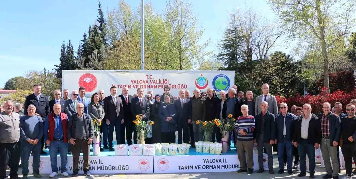 Yalova’da 104 Çiftçiye Ayçiçeği ve Fasulye Tohumu Dağıtıldı