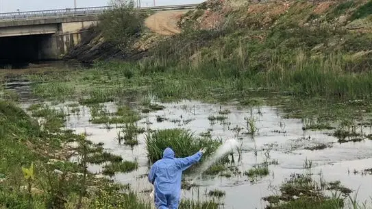Görele'de Turizm Haftası Çerçevesinde El Sanatları Sergisi Açıldı