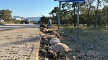 Kazanın ardından motosikletin durduğu yer