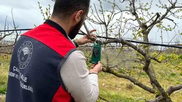 Çanakkale’de Kahverengi Kokarca Mücadelesi: Tarım Bakanlığı Yeni Takip Çalışmalarına Başladı