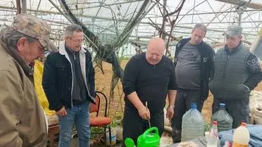 Pazaryeri'nde Alternatif Tütün Projesi Çiftçilere Yeni Kazanç Kapısı Açıyor