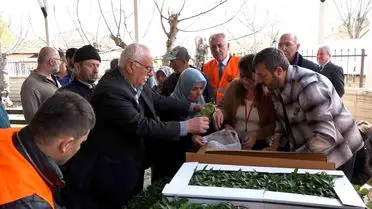 Atakum’da Tarım Desteği: 100 Bin Sebze Fidesi Çiftçilere