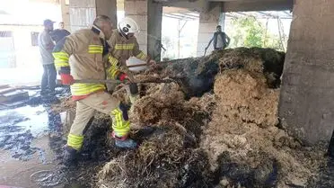 Defne'de Samanlık Yangını Kısa Sürede Kontrol Altına Alındı